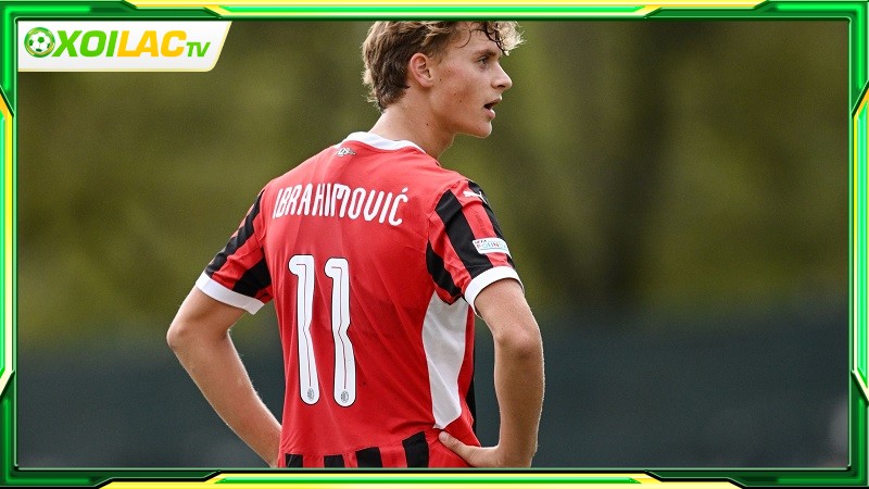 Tiểu sử của Maximilian Ibrahimović